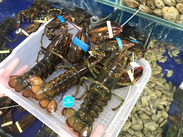 7e9c44c4dea339fd60b2_eb201feb66444d0e908ecab22bd6aa99_grande