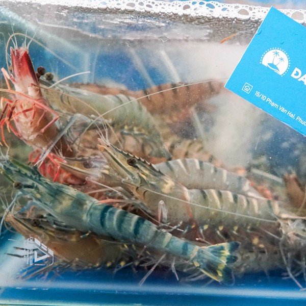 web1_507b486007014340be5b83877d74c211_grande